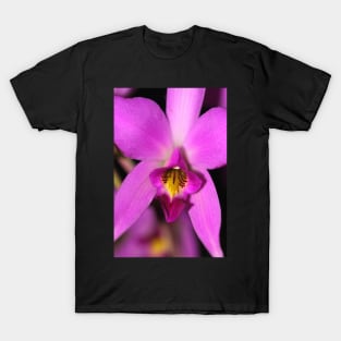 Magenta Orchid T-Shirt